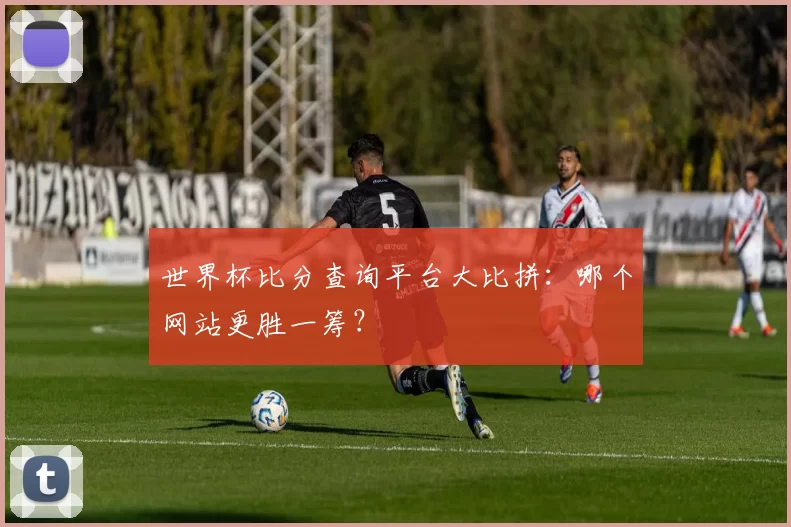 世界杯比分查询平台大比拼：哪个网站更胜一筹？