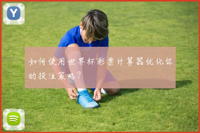 如何使用世界杯彩票计算器优化你的投注策略?