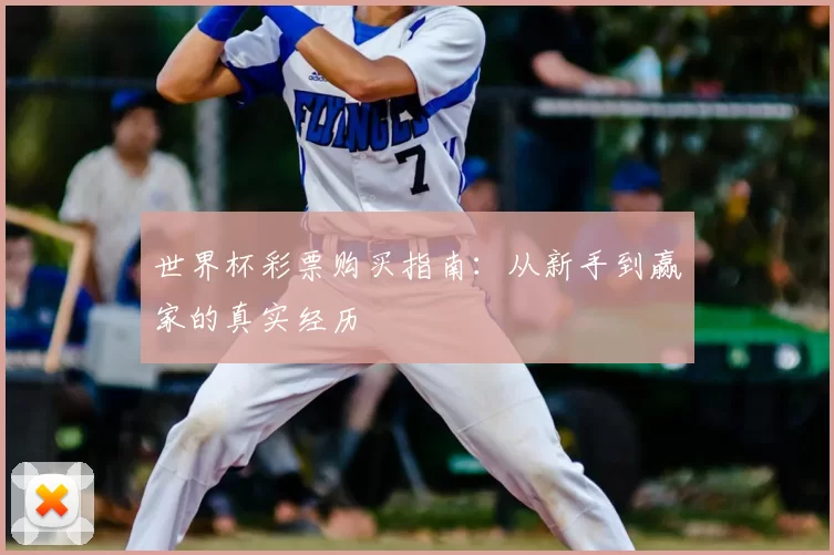 世界杯彩票购买指南：从新手到赢家的真实经历