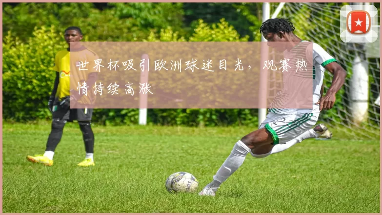 世界杯吸引欧洲球迷目光，观赛热情持续高涨