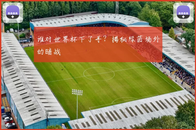 谁对世界杯下了手？揭秘绿茵场外的暗战