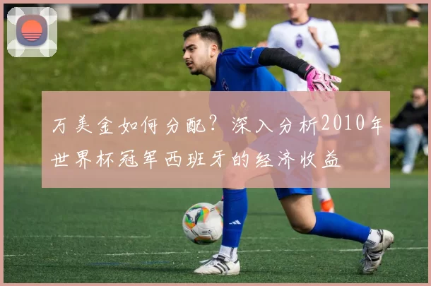 万美金如何分配？深入分析2010年世界杯冠军西班牙的经济收益