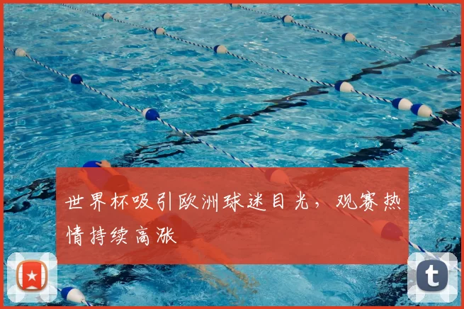 世界杯吸引欧洲球迷目光，观赛热情持续高涨