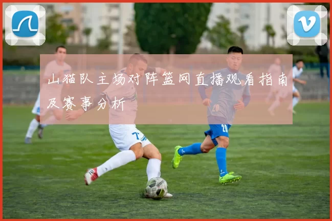 山猫队主场对阵篮网直播观看指南及赛事分析