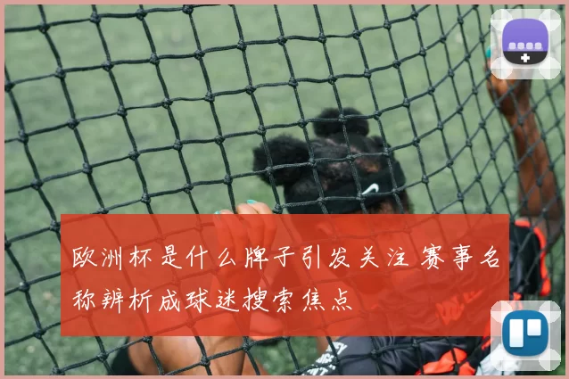 欧洲杯是什么牌子引发关注 赛事名称辨析成球迷搜索焦点