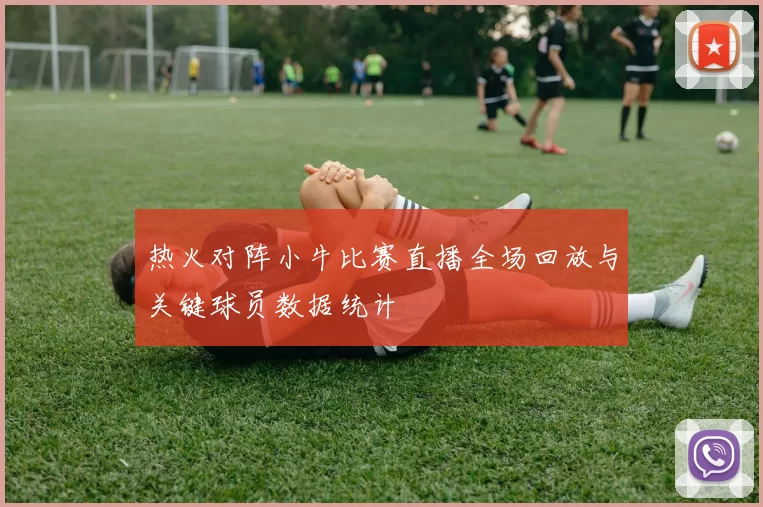 热火对阵小牛比赛直播全场回放与关键球员数据统计