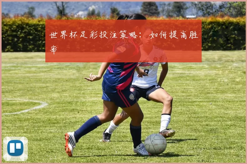 世界杯足彩投注策略：如何提高胜率