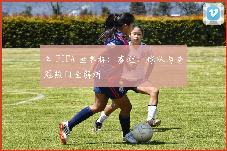 年 FIFA 世界杯：赛程、球队与夺冠热门全解析