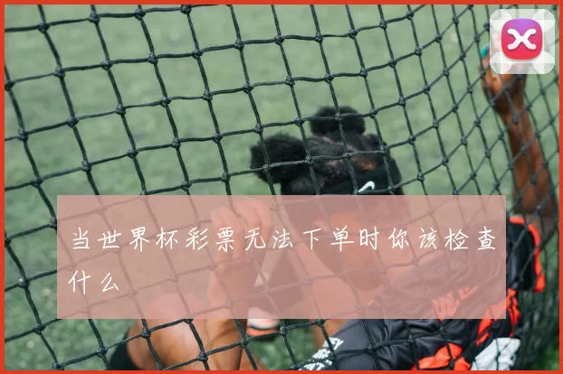 当世界杯彩票无法下单时你该检查什么