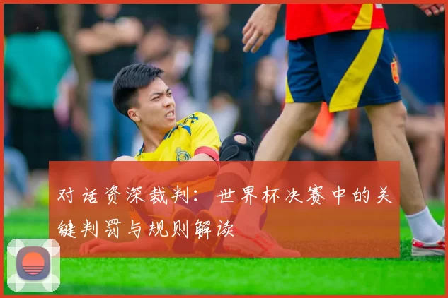 对话资深裁判:世界杯决赛中的关键判罚与规则解读