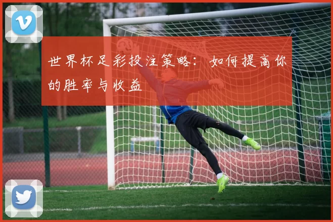 世界杯足彩投注策略：如何提高你的胜率与收益