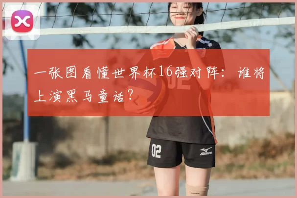一张图看懂世界杯16强对阵：谁将上演黑马童话？