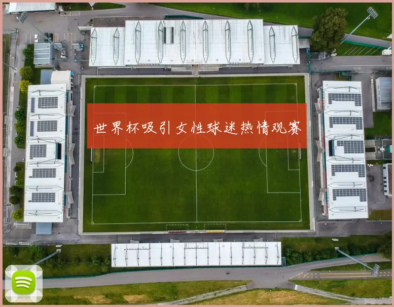 世界杯吸引女性球迷热情观赛