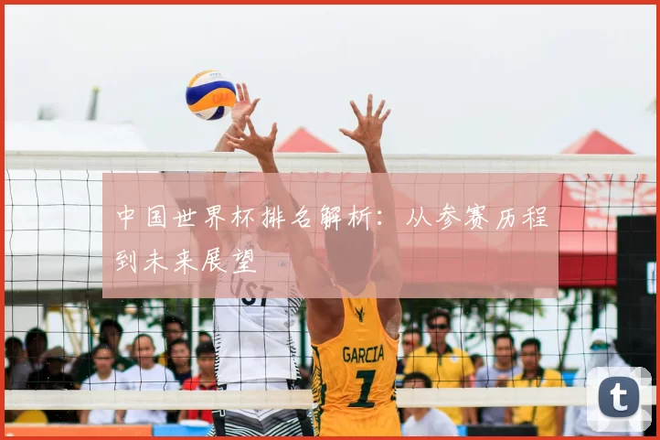 中国世界杯排名解析：从参赛历程到未来展望
