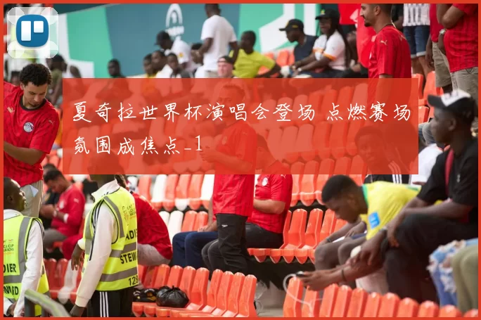 夏奇拉世界杯演唱会登场 点燃赛场氛围成焦点_1