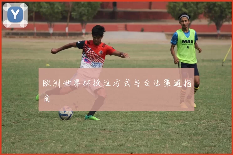 欧洲世界杯投注方式与合法渠道指南