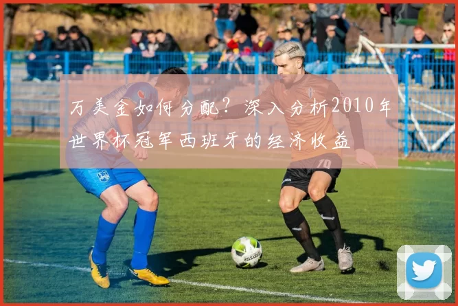 万美金如何分配？深入分析2010年世界杯冠军西班牙的经济收益