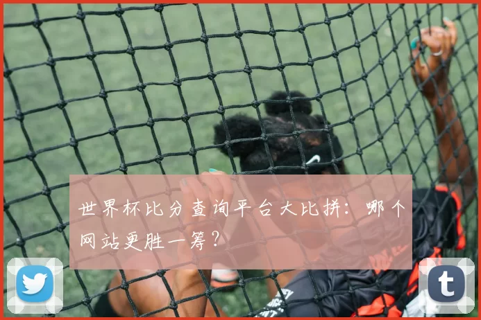 世界杯比分查询平台大比拼：哪个网站更胜一筹？